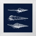 thumbnail image 1 of Harbick, N 15x15 White Modern Wood Framed Museum Art Print Titled - Shell Negative II, 1 of 4