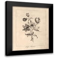thumbnail image 1 of Harbick, N. 20x24 Black Modern Framed Museum Art Print Titled - Vintage Anemones, 1 of 5