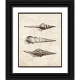 thumbnail image 1 of Harbick, N 20x24 Black Ornate Wood Framed with Double Matting Museum Art Print Titled - Elegant Shells II - mini, 1 of 4