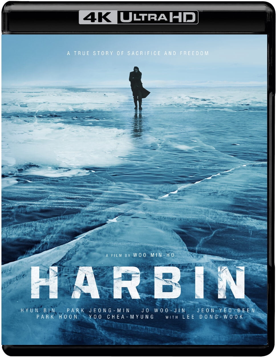 Well Go USA - Harbin [ULTRA HD] - Walmart.com