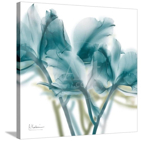 Harbor Blue Beauty 2, Botanical Stretched Canvas Wall Art by Albert Koetsier Sold by ArtCom