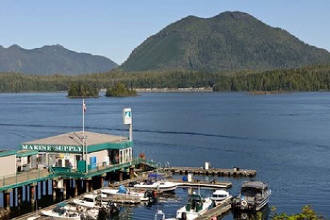 Harbor Meares Island Vancouver Island British Columbia Canvas Art - Matt Freedman DanitaDelimont (22 x 15)