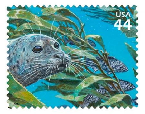 Harbor Seal Canvas Art - US POSTAL SERVICE (22 x 28)