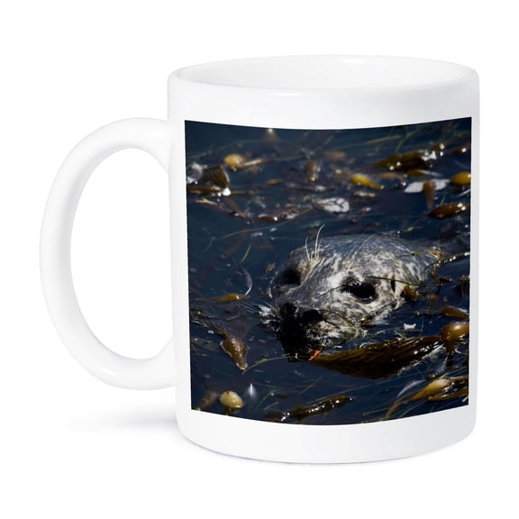 Harbor Seal, Point Lobos State Reserve, California - Us05 Jgs0206 - Jim Goldstein, 15oz Mug