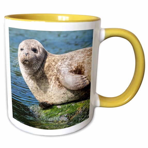 Harbor Seal portrait on the coast of the Shetland Islands. Scotland 15oz Two-Tone Yellow Mug mug-257939-13