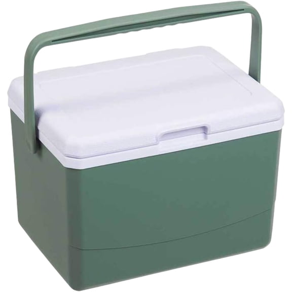 Hard Cooler Lunch Box, 5L Insulated Leak-Proof with Handle for Camping