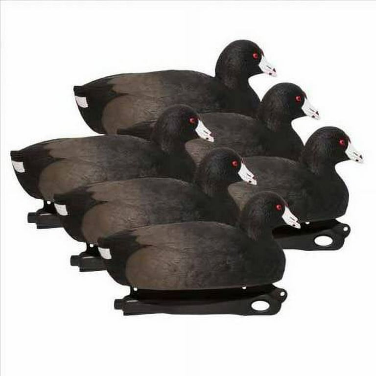 Game Winner FlexTuff Coot Decoys 6Pack Academy, 55 OFF