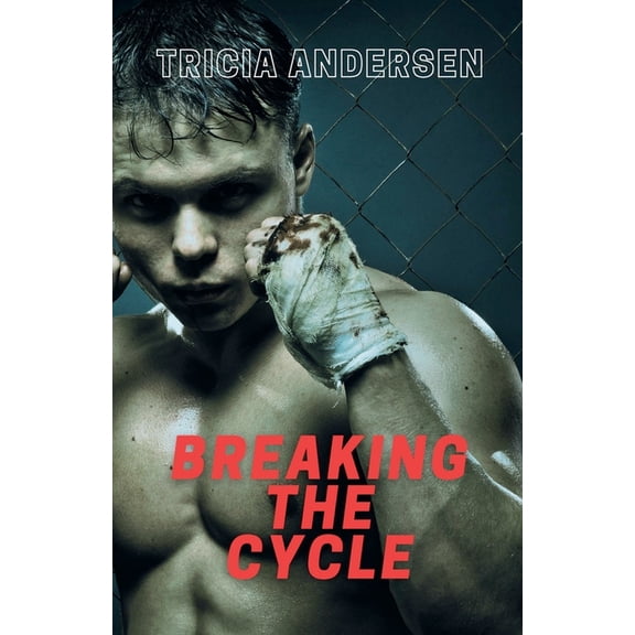 Hard Drive Breaking the Cycle, Book 2, (Paperback)