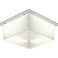 thumbnail image 1 of Hard-Nox Collection Two-Light Wall or Ceiling Fixture, 1 of 2