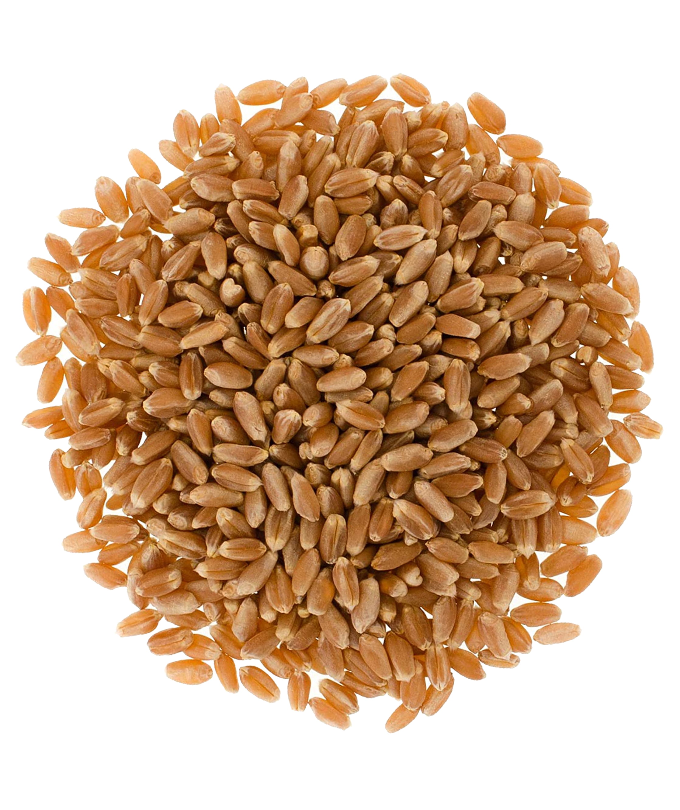 Hard Red Spring Wheat Berries • 25 lbs • Palouse Brand • USA Grown