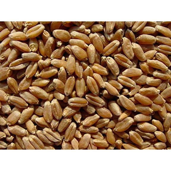Hard Red Wheat 18 Lbs, Joseph's Grainery Wheat Berries, All Natural, Non-GMO, Kosher Certified