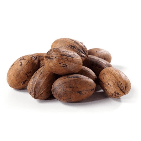 Hard Shell Pecans Bulk Food Service 25 lbs / 11.33 kg