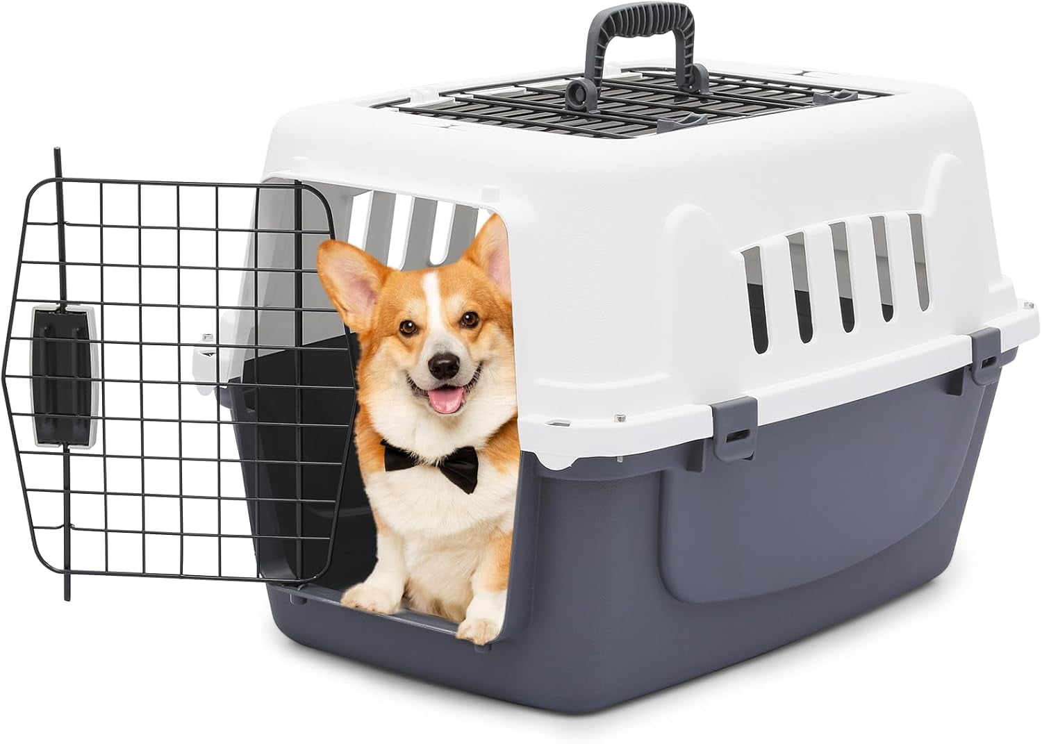 Image showcasing Hard-Sided Travel Pet Carrier for Small Dogs and Cats, Plastic Dog ...