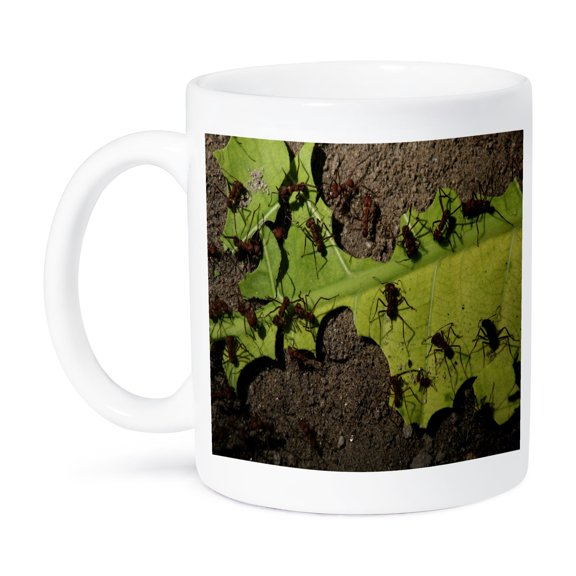 Nature's Workhorses Mug 11oz