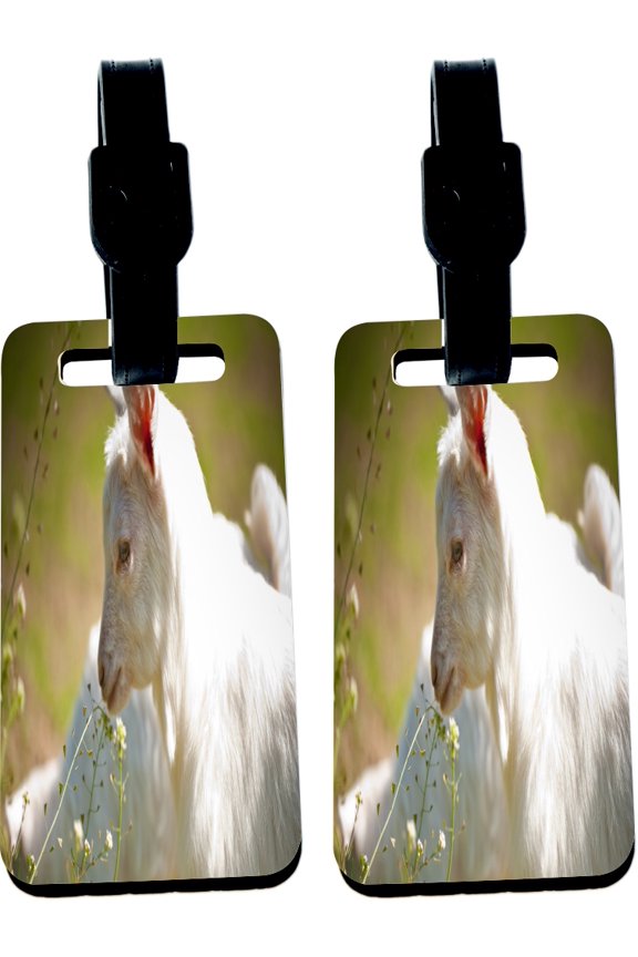 Hardboard Luggage Identifier Tags with Strap - Baby Goat in Field Soft (x2)