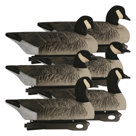 Open Box Hardcore Rugged Series Lesser Canada Goose Floater Decoys with Flocked Heads, 6 Pack