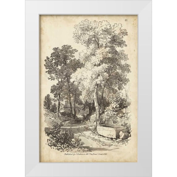 Harding, J.D. 11x14 White Modern Wood Framed Museum Art Print Titled - Noble Tree I