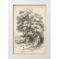 thumbnail image 1 of Harding, J.D. 13x18 White Modern Wood Framed Museum Art Print Titled - Noble Tree II, 1 of 4