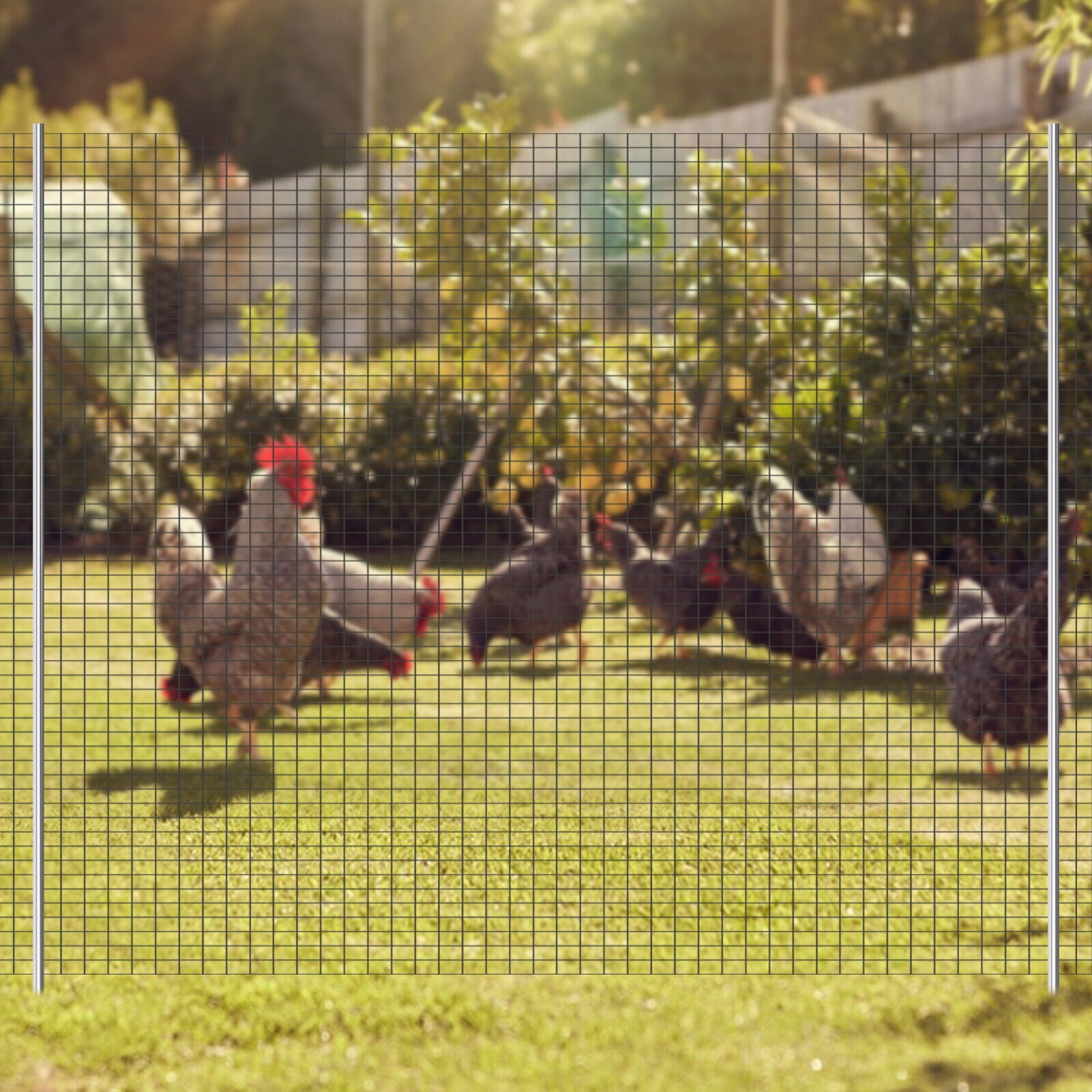 Hardware Cloth Galvanized After Welded Cage Mesh Rolls, Square Chicken Wire Netting, Raised