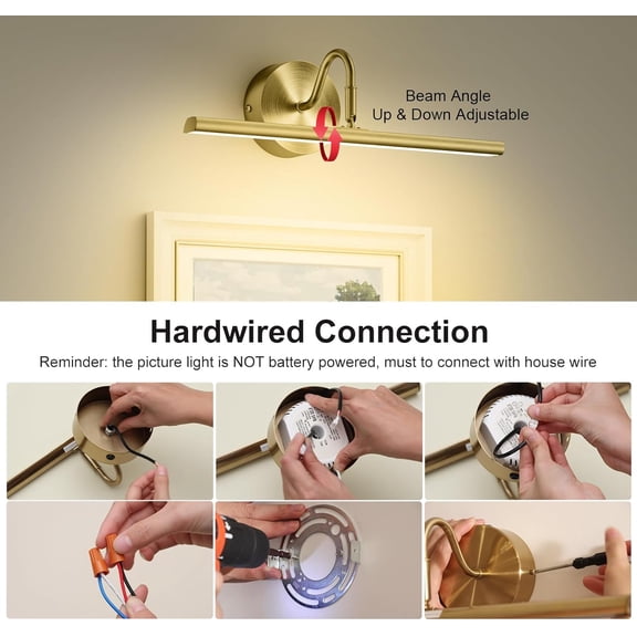 Hardwired Picture Lights for Wall - 16.5" Lights for Pictures on Wall - Dimmable 3CCT Picture Frame Light - 15W Brass Poster Light for Gallery Art Display - 2700K-6500K Warm White
