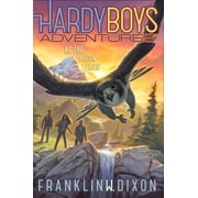 Hardy Boys Adventures As the Falcon Flies, Book 24, Paperback