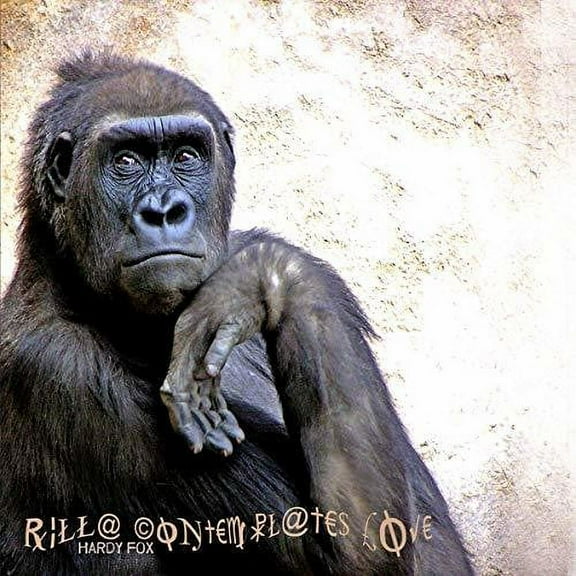 Hardy Fox - Rilla Contemplates Love - Electronica - CD