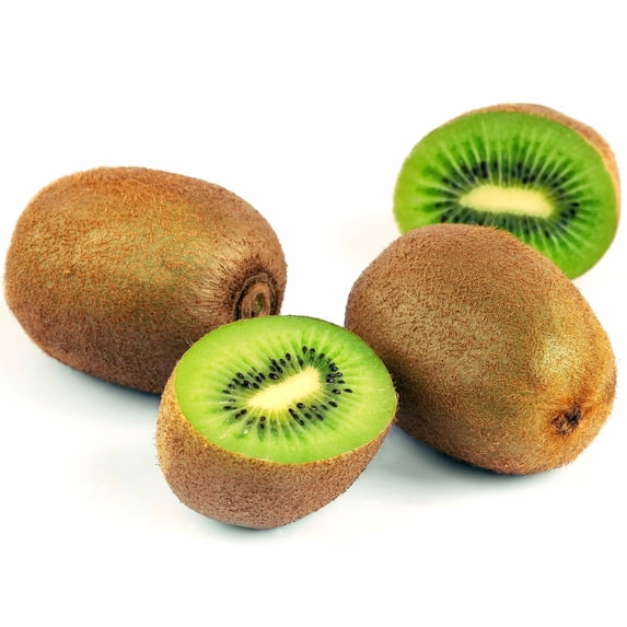 Hardy Fuzzy Kiwi Plants - Actinidia chinensis - Vincent/Tomuri 2 Plants - 4" Pot