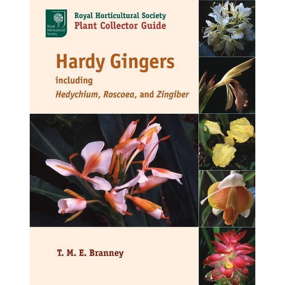 Hardy Gingers: Including Hedychium, Roscoea, and Zingiber, (Paperback)