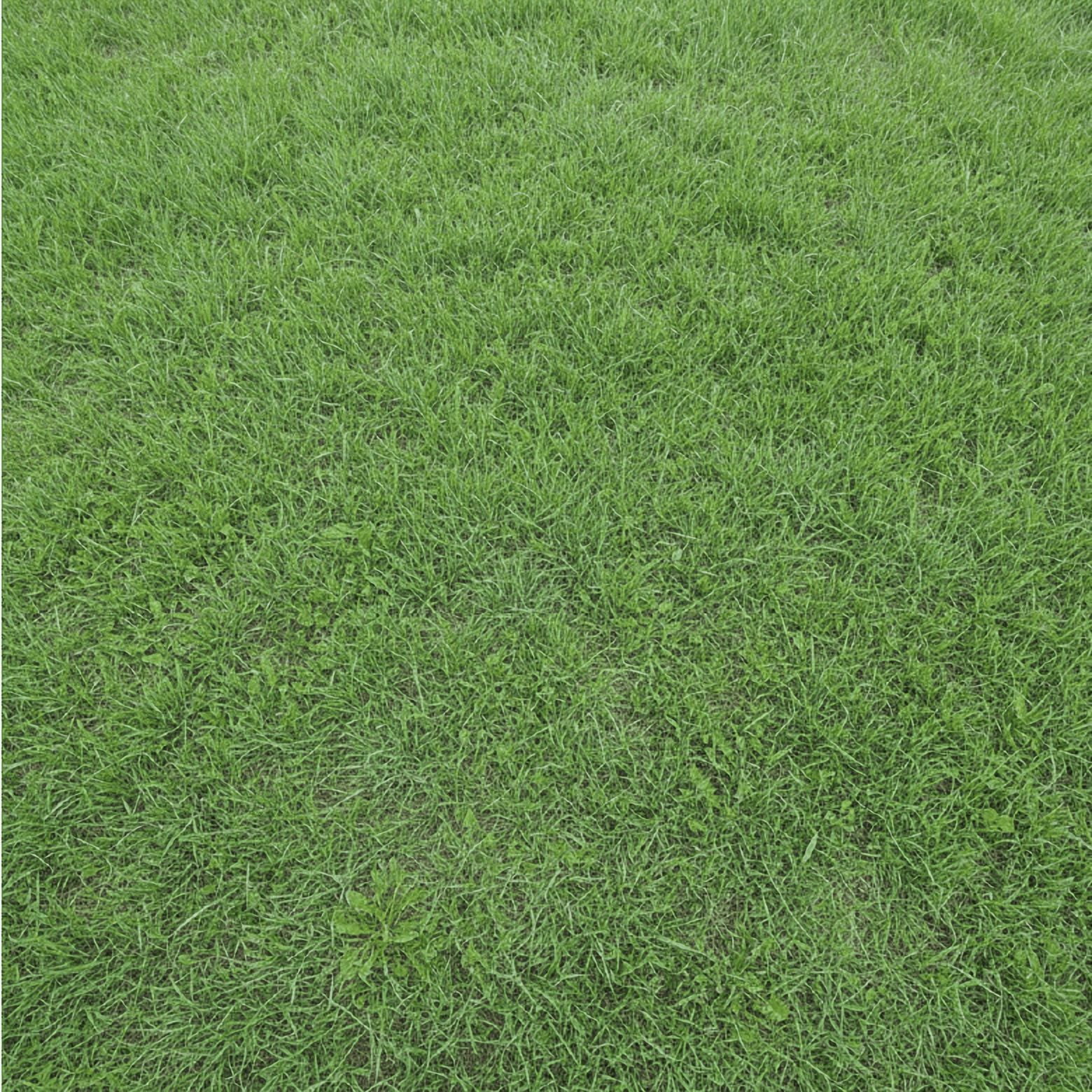 Nature's Seed Hardy Grass Seed Mix for High Traffic Lawns - 25 Lb