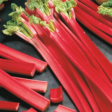 Hardy Tarty Rhubarb Dormant Bare Root Vegetable Starter Plant (1-Pack)