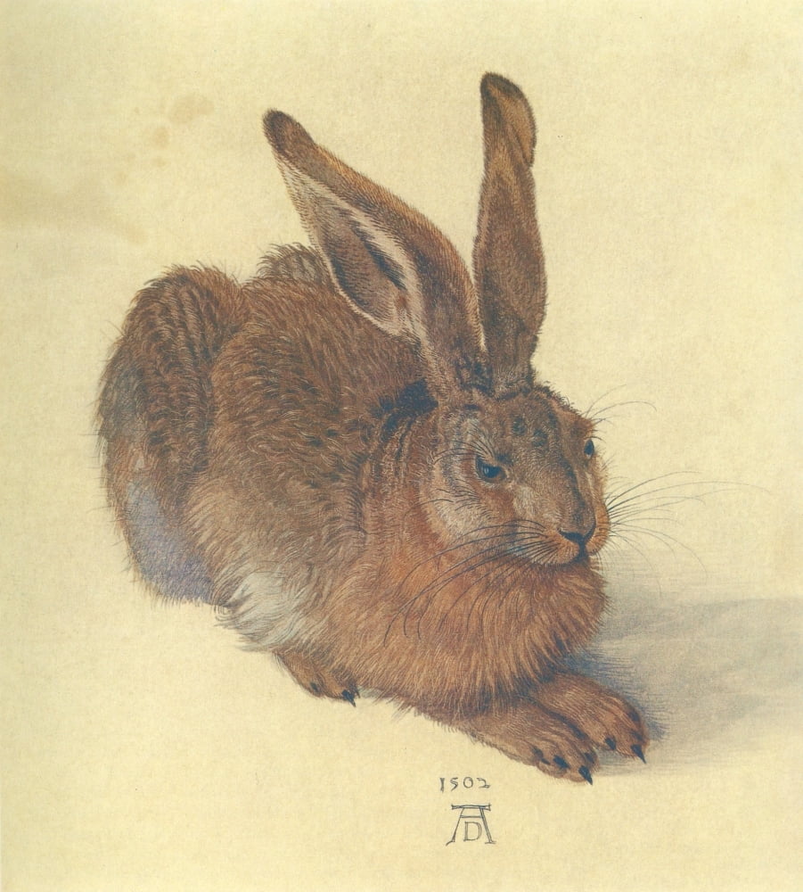 Hare DÔøΩrer 1921 Canvas Art - Albrecht DÔøΩrer (24 x 36)