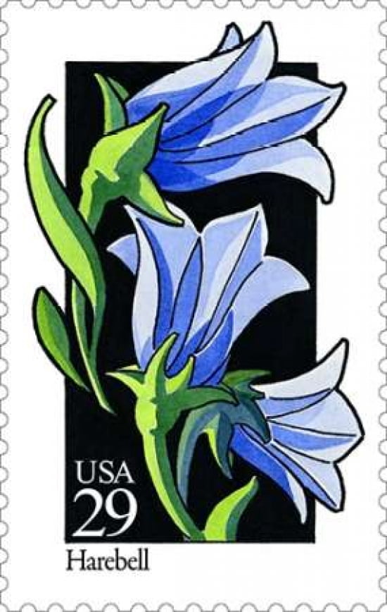 Harebell Canvas Art - US POSTAL SERVICE (12 x 18)