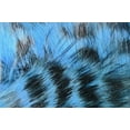thumbnail image 1 of Hareline Black Barred Rabbit Strips Fl Blue, 1 of 1