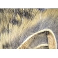 thumbnail image 1 of Hareline Black Barred Rabbit Strips Grizzly, 1 of 1