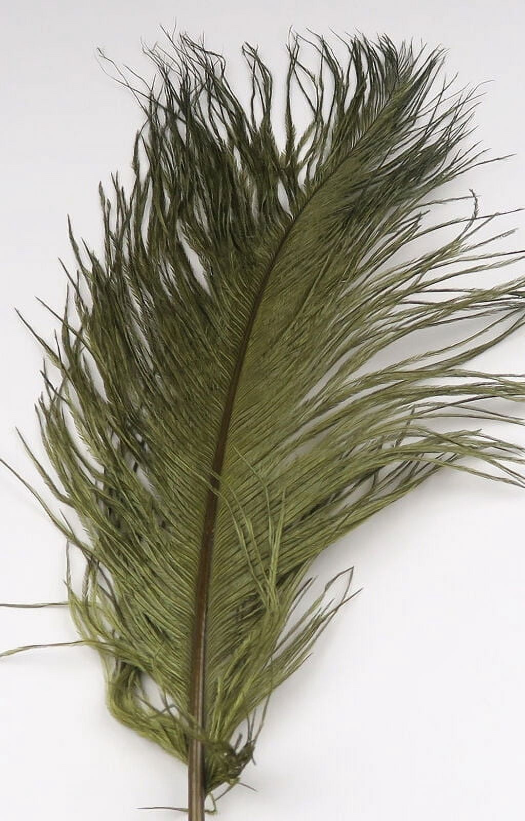Hareline Ostrich Herl Feathers For Fly Tying - 10-12 Inch Quills, Assorted Colors