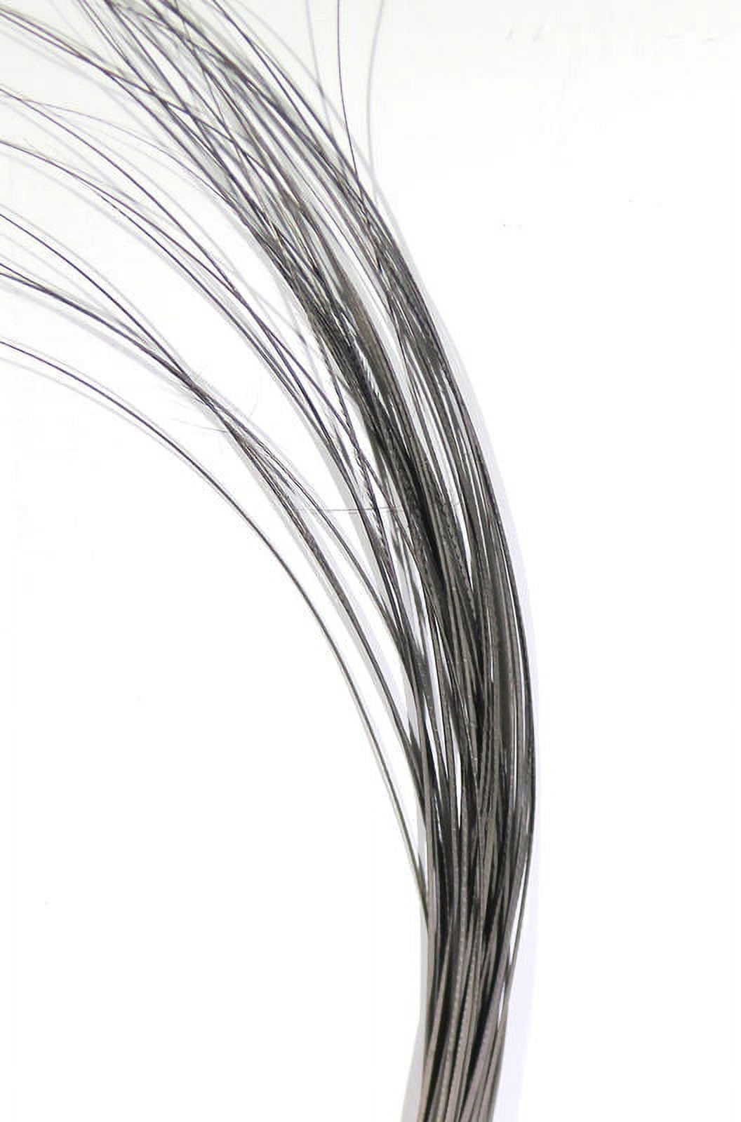 Hareline Quill Body Assorted Colors - Blue Quill - Walmart.com