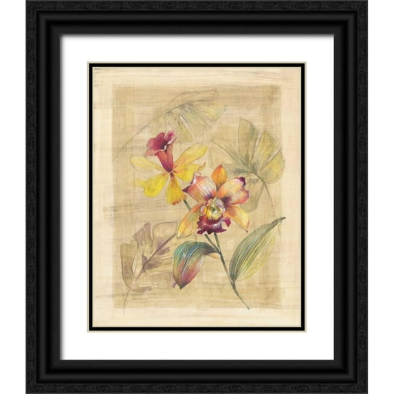 Hargittai, Paul 20x24 Black Ornate Wood Framed with Double Matting Museum Art Print Titled - Bahama Breeze II