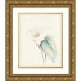 thumbnail image 1 of Hargittai, Paul 20x24 Gold Ornate Wood Framed with Double Matting Museum Art Print Titled - Calla Lily II, 1 of 4