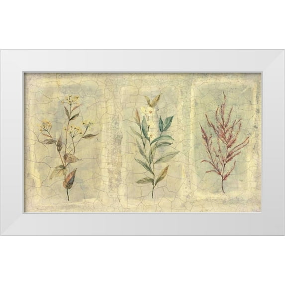 Hargittai, Paul 32x20 White Modern Wood Framed Museum Art Print Titled - Crackle Sprigs II