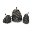 thumbnail image 1 of Hargrove Manufacturing 1203BX Hargrove Small Slanted Ceramic Pine Cone For Gas Logs  3.5 Inch h, 1 of 1