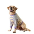 thumbnail image 1 of Harikaji Dog Elbow Protector Shirt for Calluses, Dog Leg Recovery Suit to Prevent Licking Wound, Dog Shirt Pajamas for Small Medium Large Dogs Purple L, 1 of 7