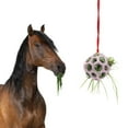 thumbnail image 1 of Harikaji Horse Treat Ball Hay Feeder Toy, Goat Pony Feeder Ball Hanging Feeding Toy for Horse Goat Sheep Relieve Stress Pink, 1 of 7