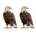 thumbnail image 1 of Hariumiu Owl Pendant Bird Repellent Sure Here's A Product Title for 1 Set Effective with Double-sided Printed Ornament Garden Patio Windowsplease Note That, 1 of 8