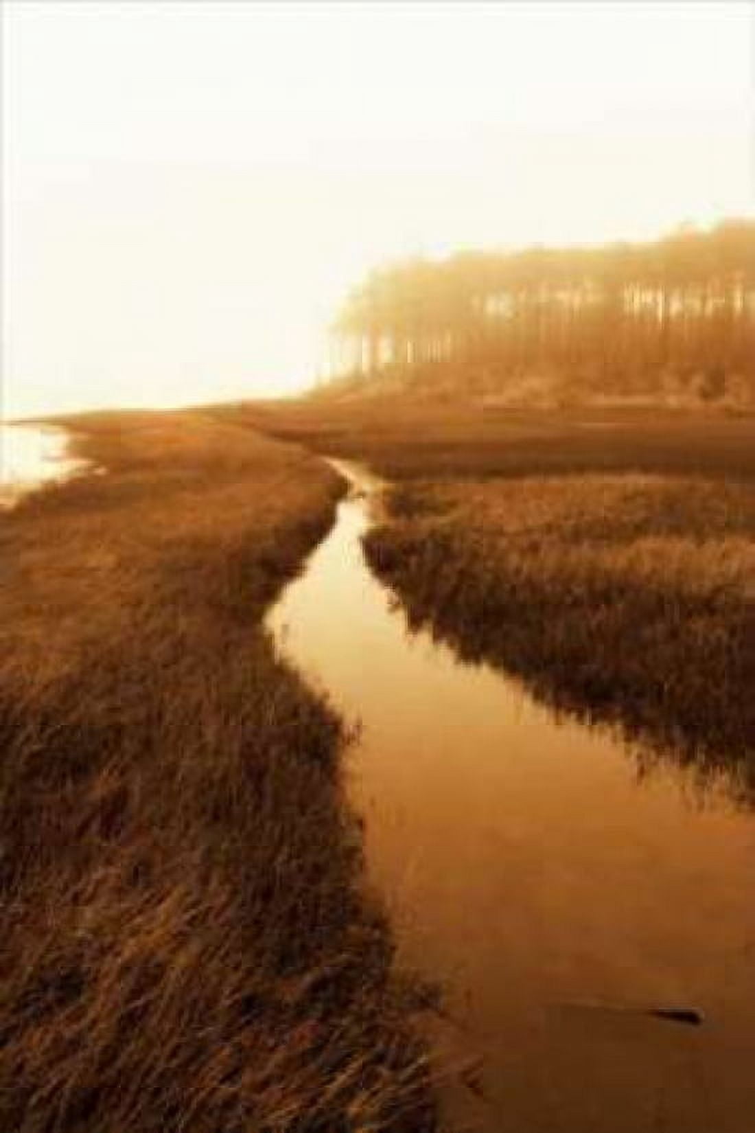 Harkers Island Marsh I Canvas Art - Alan Hausenflock (24 x 36)