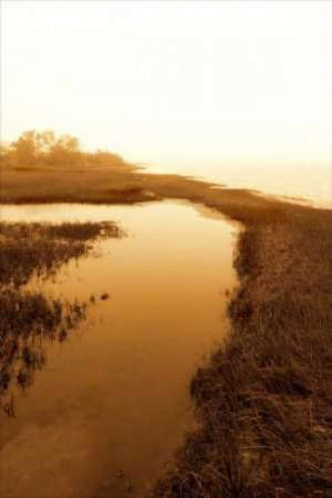 Harkers Island Marsh II Canvas Art - Alan Hausenflock (12 x 18)
