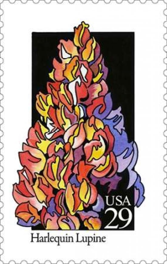 Harlequin Lupine Canvas Art - US POSTAL SERVICE (12 x 18)