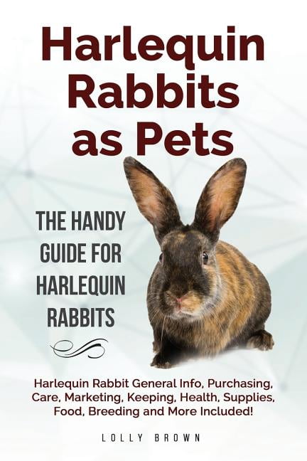 Harlequin Rabbit