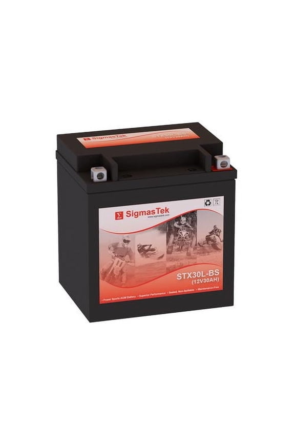 Harley-Davidson 1750CC FLH, FLT SERIES, 2017 Battery (Replacement)