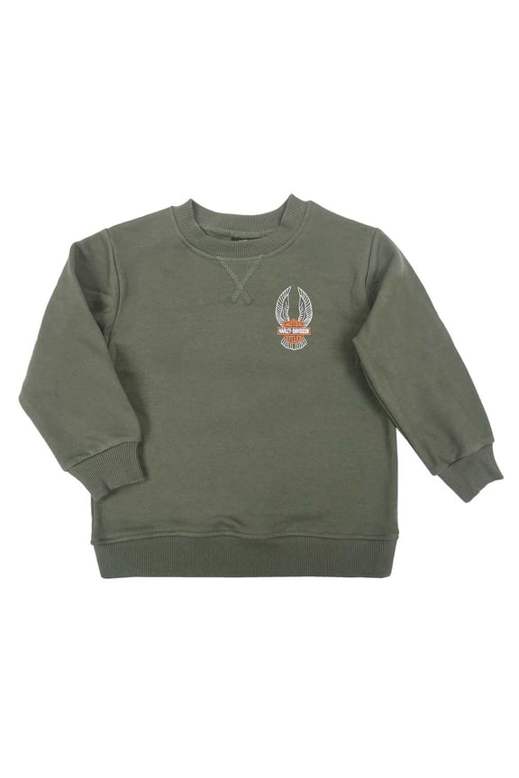 Baby Boys' Winged B&S Fleece Pullover Sweatshirt, Green (9/12M), Harley Davidson