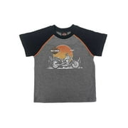 Harley-Davidson Big Boys Distressed Short Sleeve Knit Raglan Tee, Gray 8/10, Harley Davidson